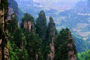 Zhangjiajie Park vagy Avatar-hegység – Kínai oszlopok Kínában, ahol az Avatart forgatták