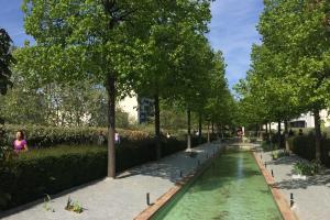 Zöld sikátor Párizsban Elzártság a nagyvárosban