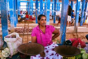 Hikkaduwa, Sri Lanka - a strand és a város részletes áttekintése