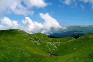 Hol van a legjobb hely a kikapcsolódásra Abháziában, mint Gagra Pitsunda vagy Sukhum?